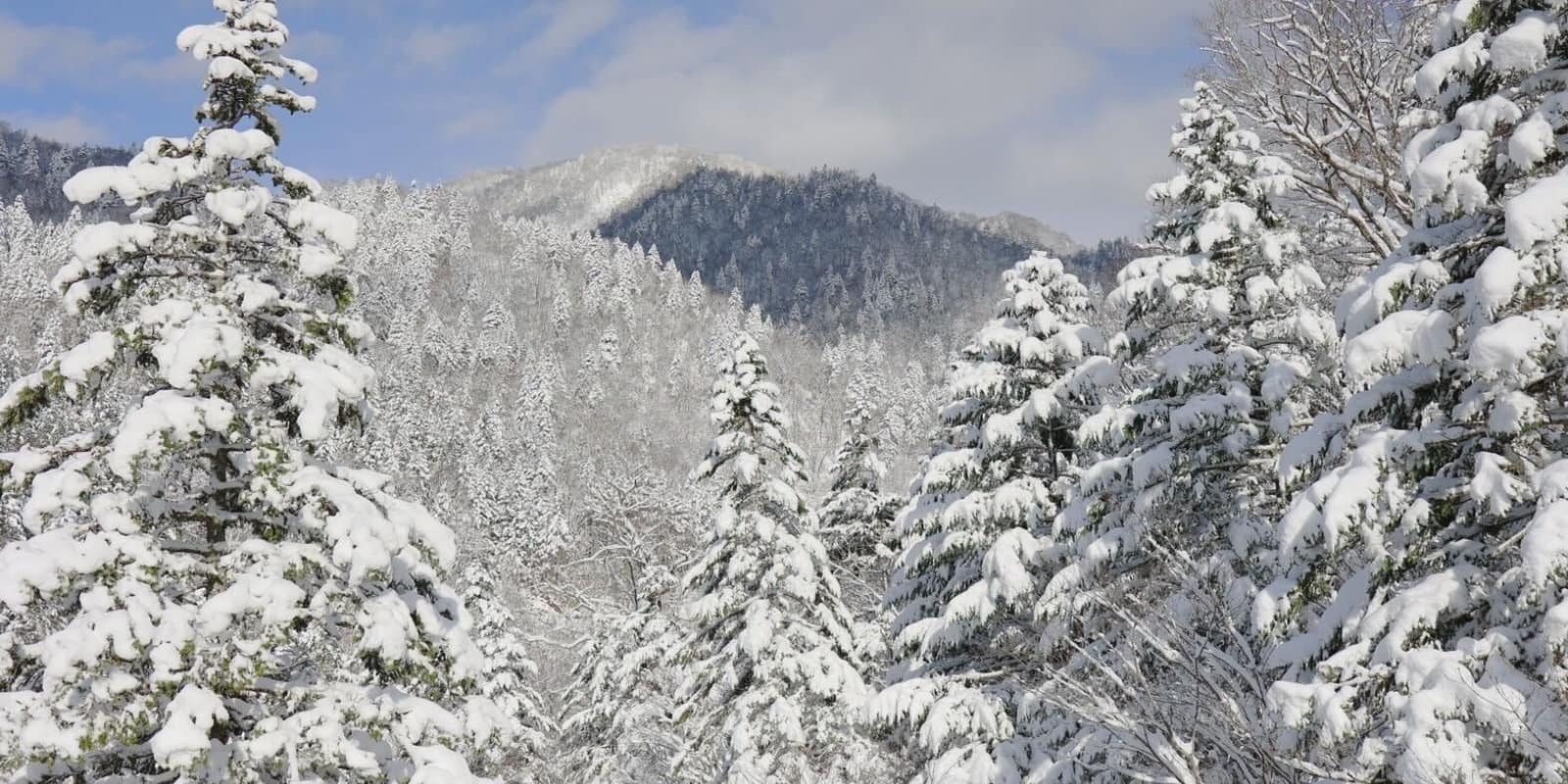 雪景色