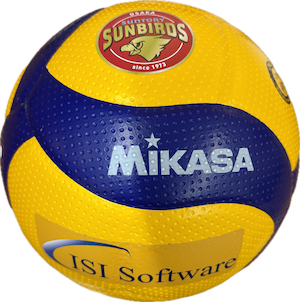 valleyball_261005